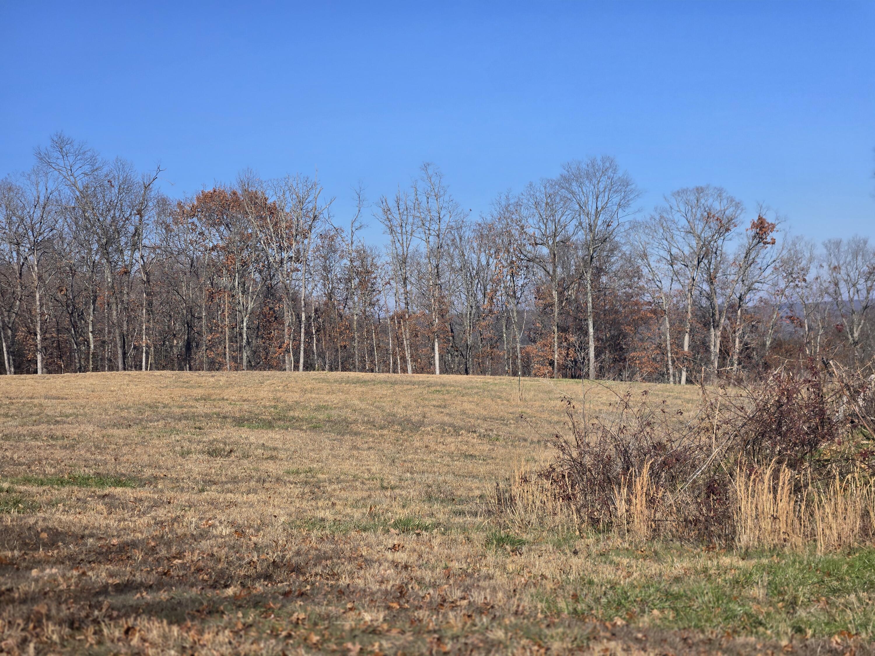 Property Photo: Xx Miser Road MO 64854