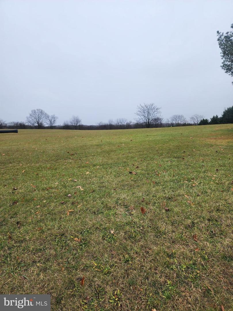 Kestrel Drive  Falling Waters WV 25419 photo