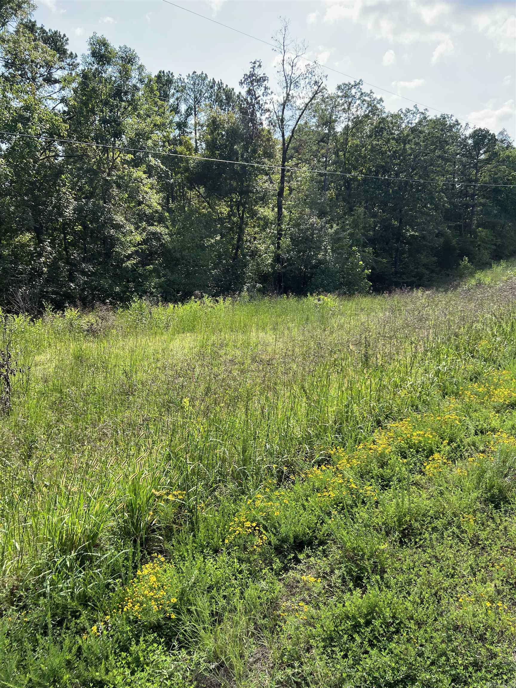 Property Photo:  00 The New Road  AR 72153 