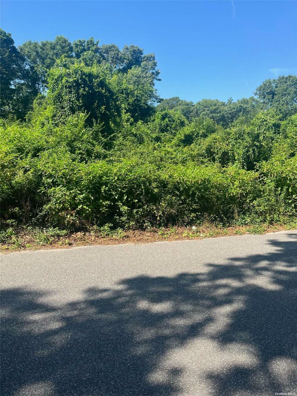Property Photo: 22 Holly Lane NY 11967