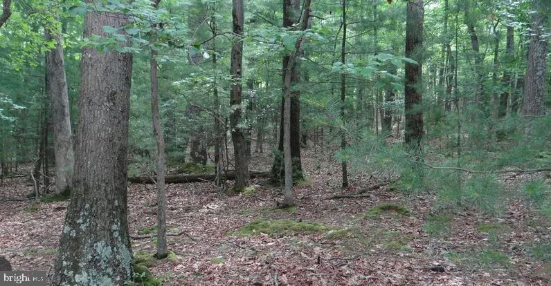 Property Photo: 91 Hirschmann Road PA 17307