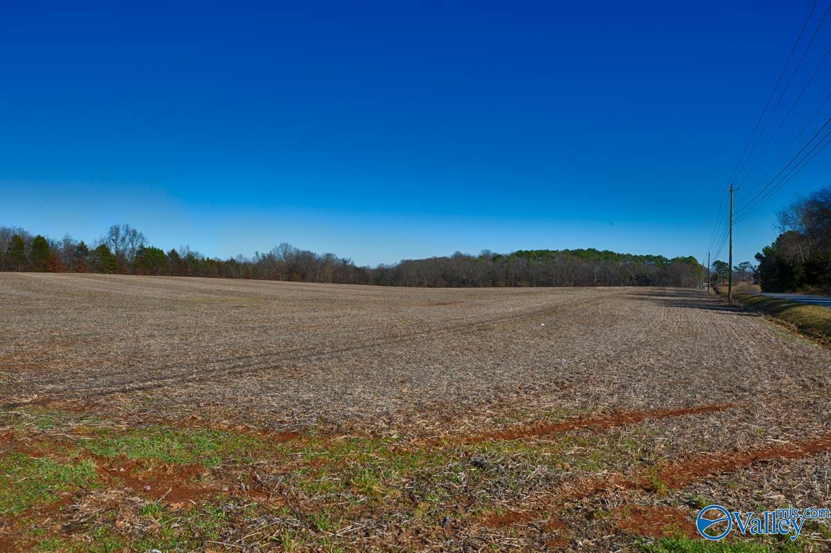 Property Photo:  271+/- Acres Joe Quick Road  AL 35750 