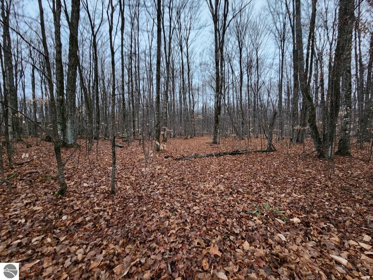 Property Photo:  00 Woodline Road  MI 49676 