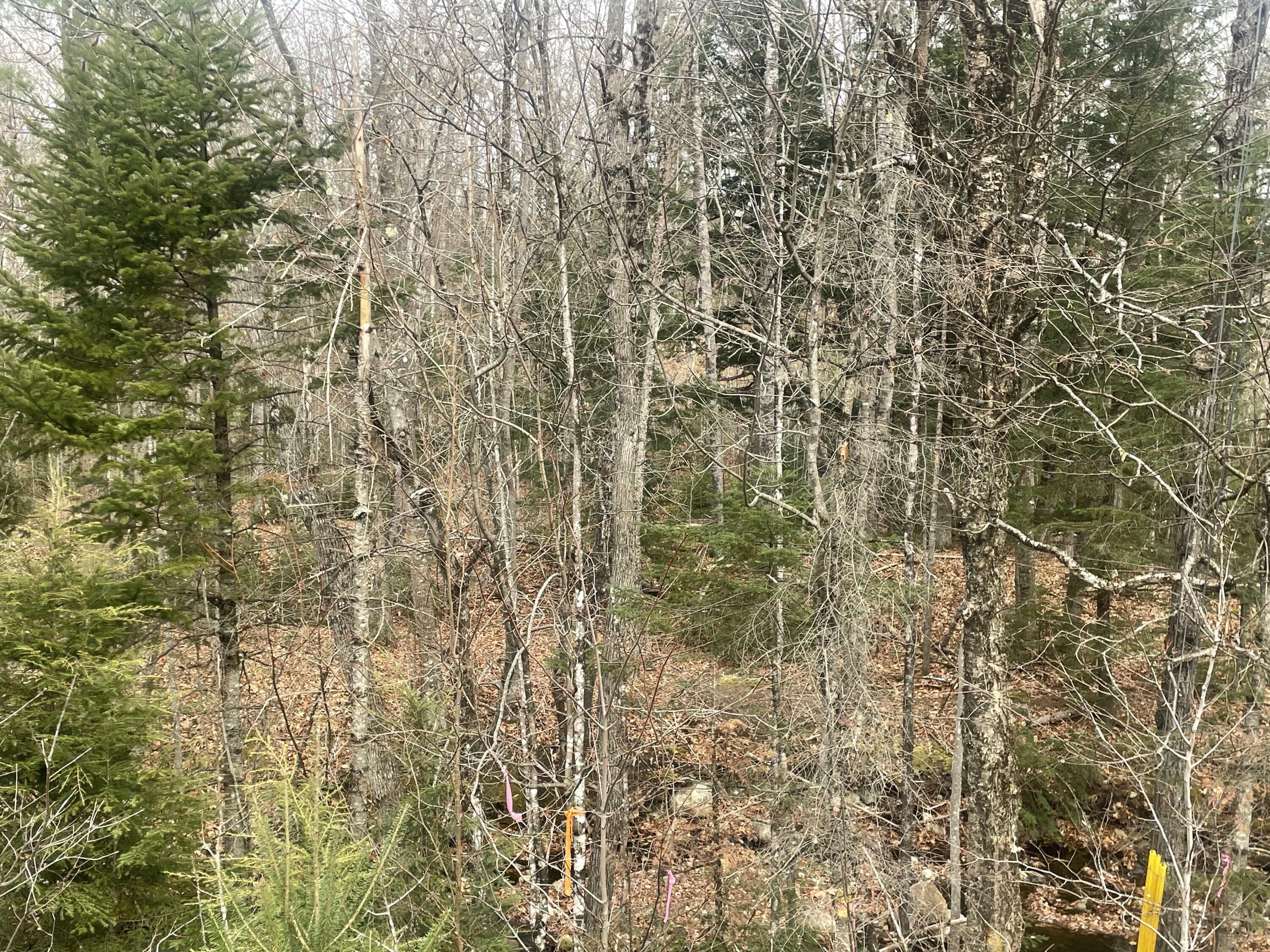 Property Photo:  Lot 22 Roxbury Notch Road Road  ME 04275 