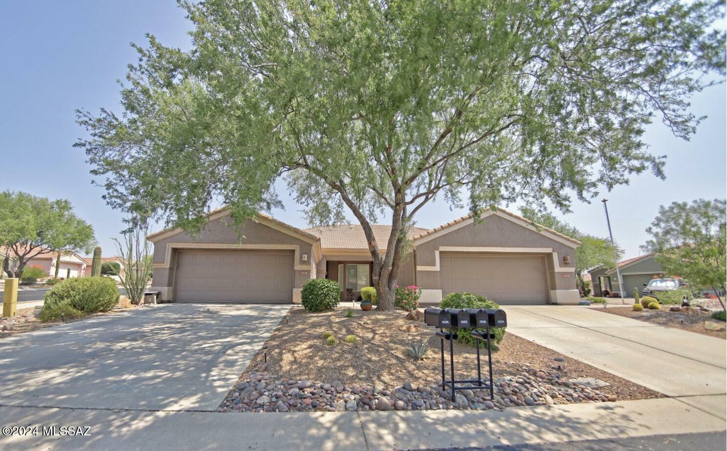 Property Photo:  13238 N Silver Cholla Place  AZ 85658 