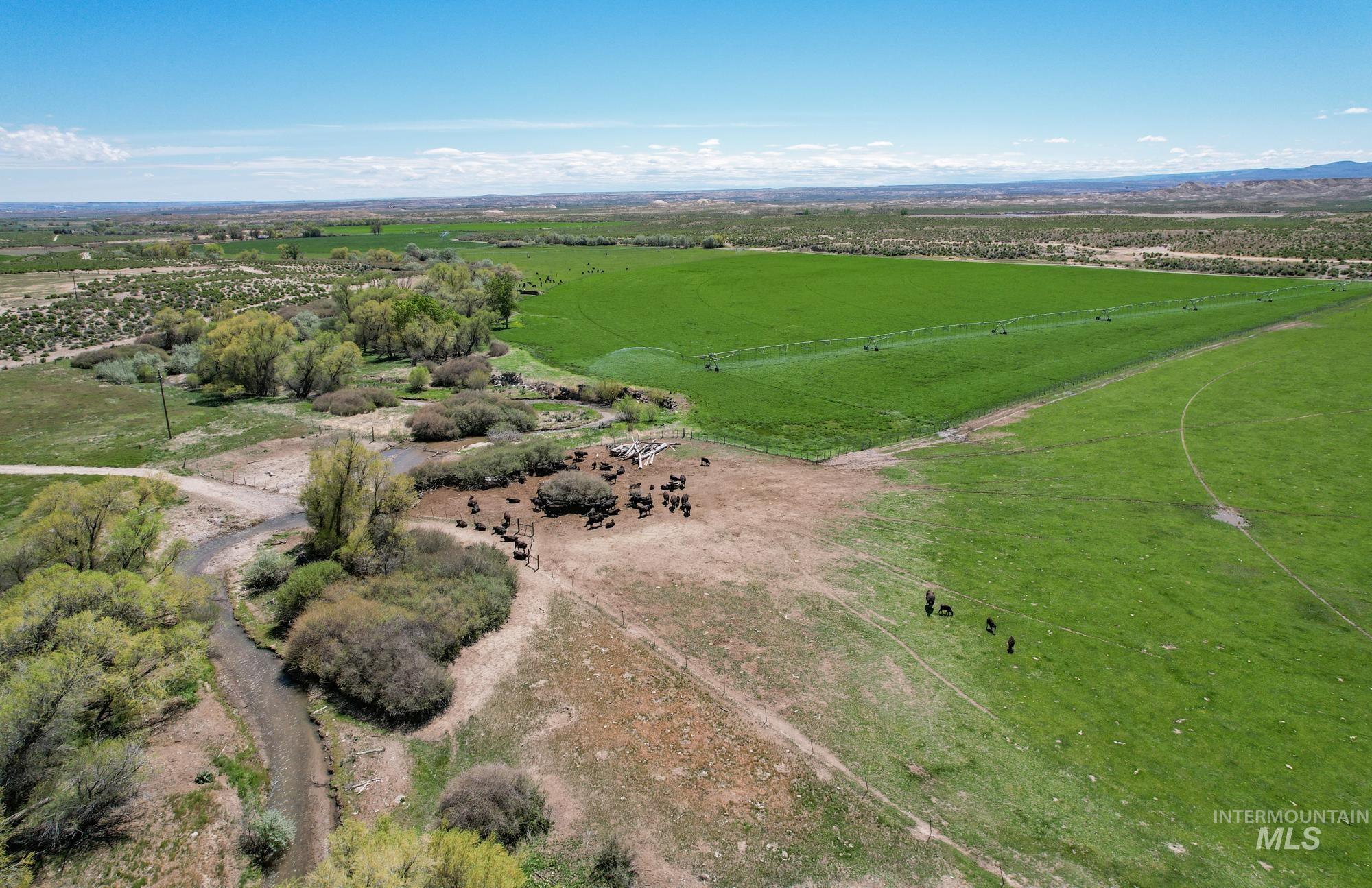 Property Photo: 18138 Oreana Loop Road ID 83650