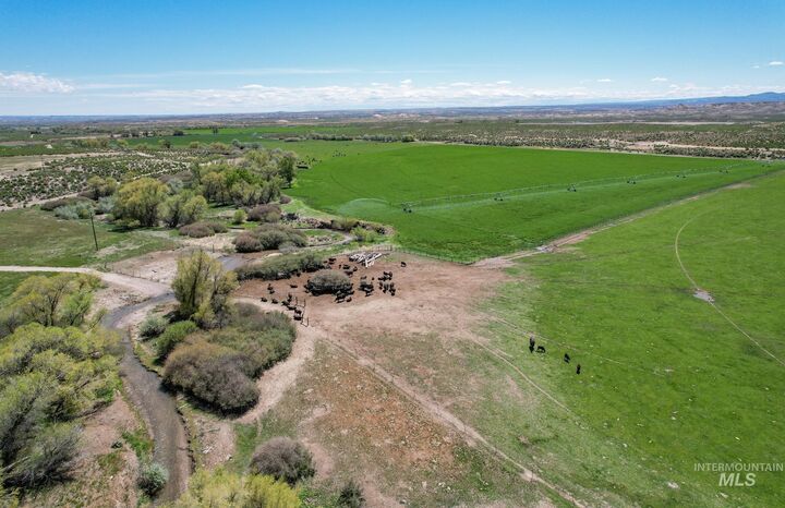 Property Photo: 18138 Oreana Loop Road ID 83650