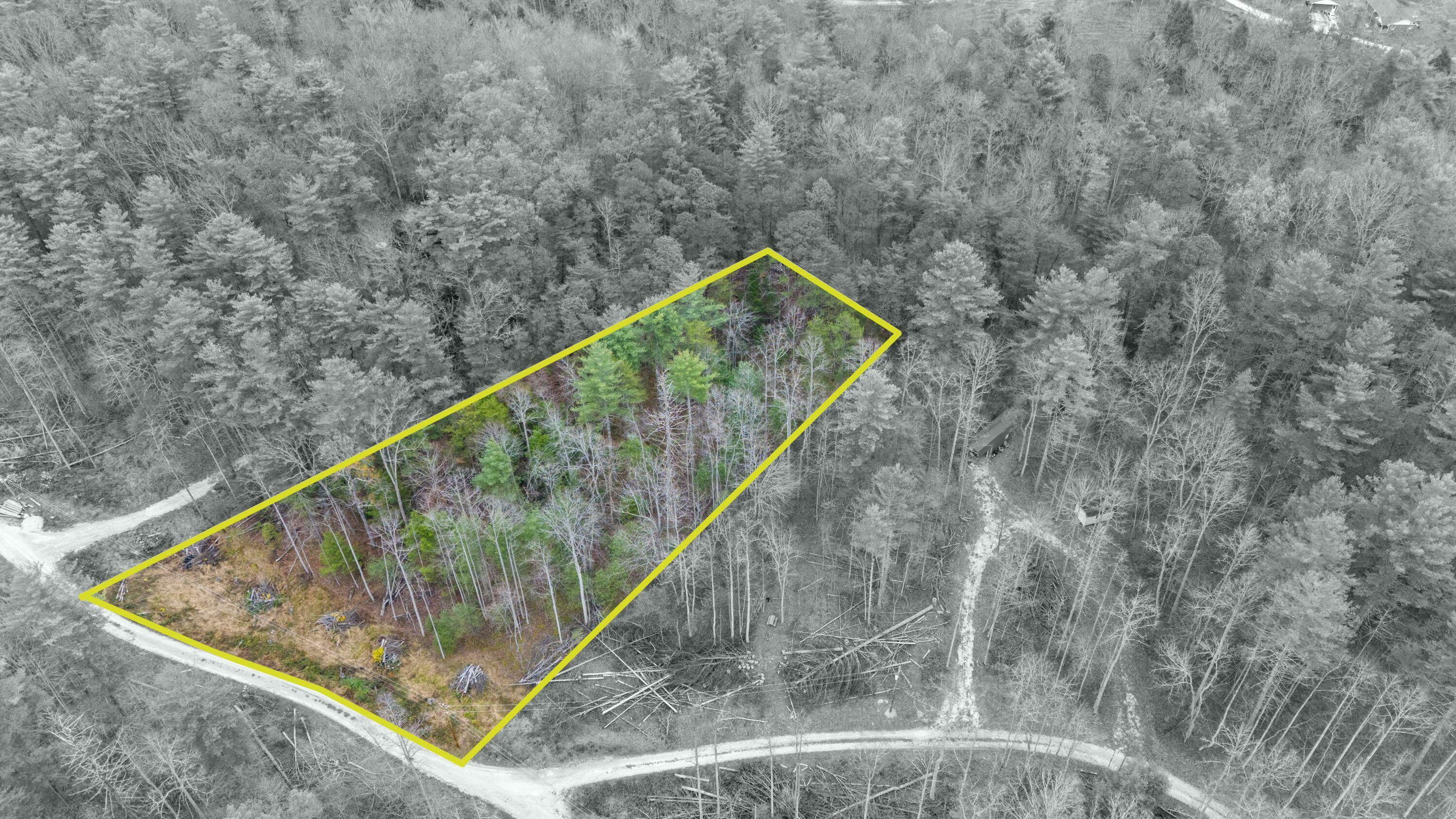 Property Photo:  345 Lot 8 Wolfe Lake Road  KY 41301 