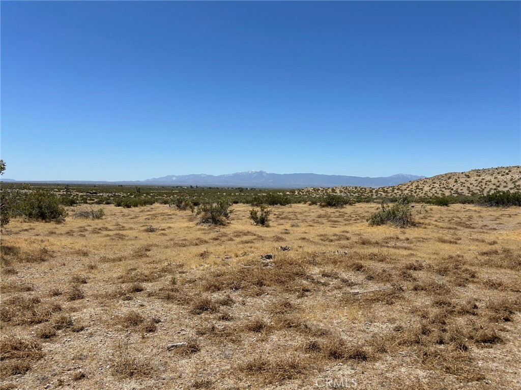Property Photo: 0 Avenue 1 CA 93505