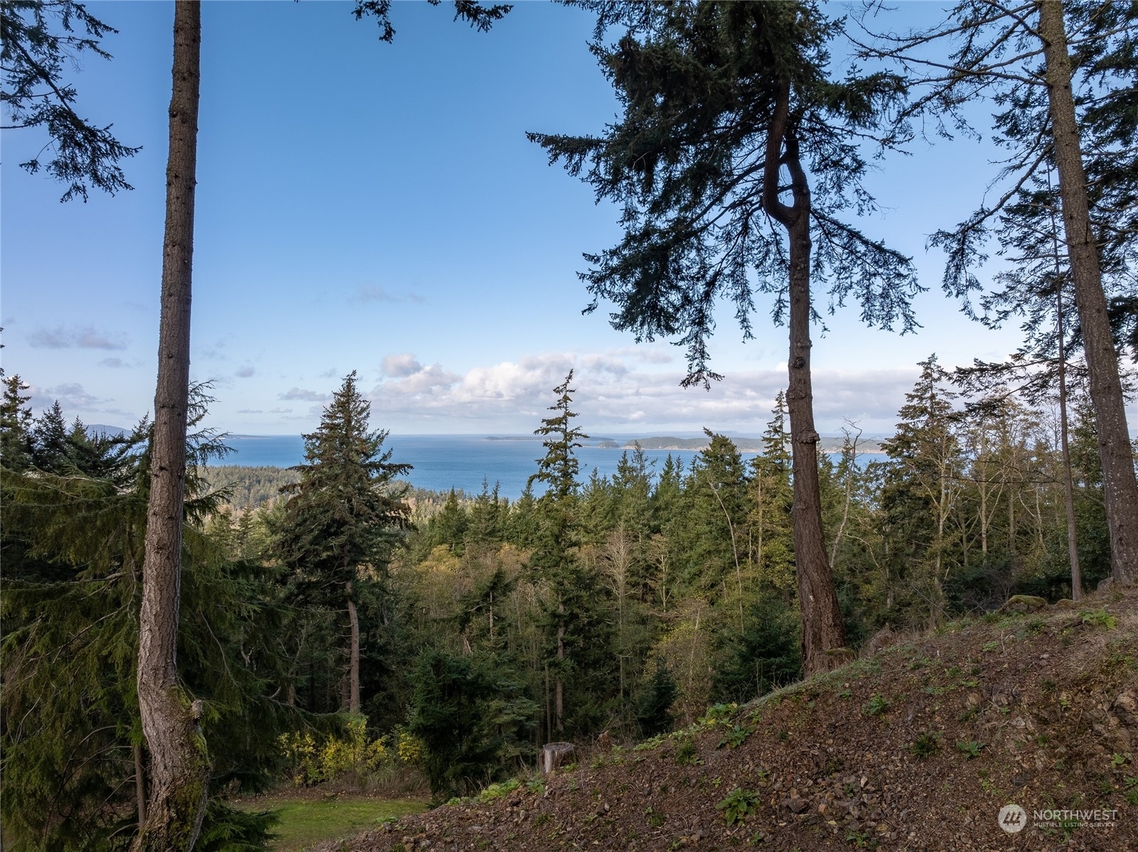 Property Photo:  540 Wright Road  WA 98245 