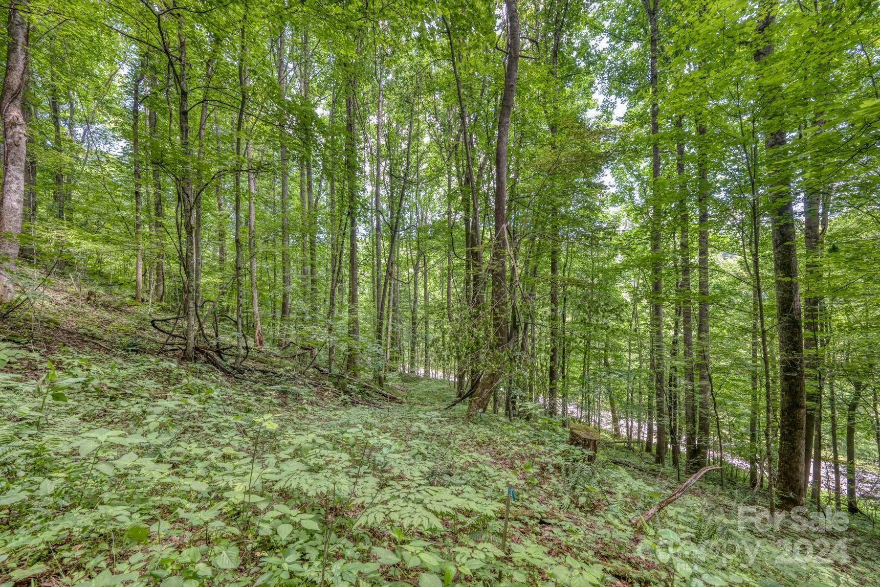 Property Photo:  Tbd Alvins Fox Trail  NC 28754 