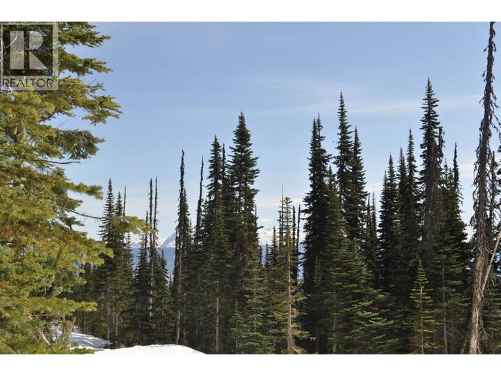 Property Photo:  St Lt 7 Alpine Way Pt.  BC V0J 2N0 