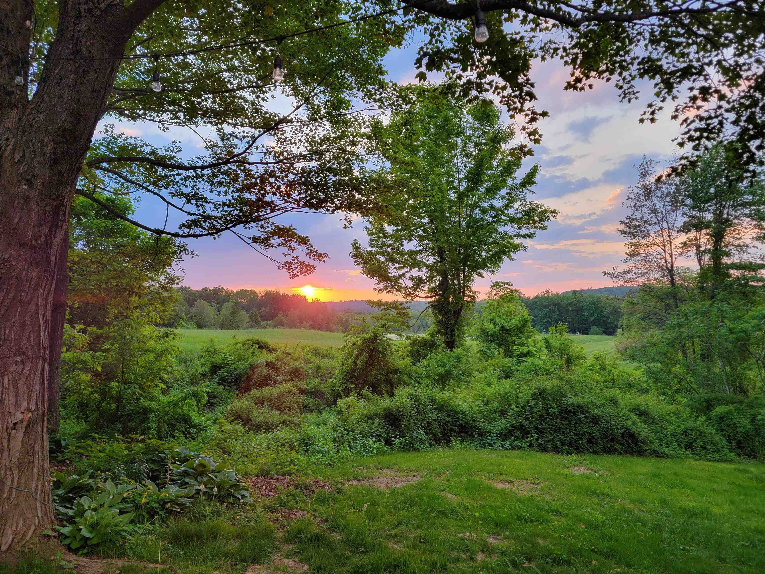 Property Photo:  264 Old Lake Shore Road  NH 03249 