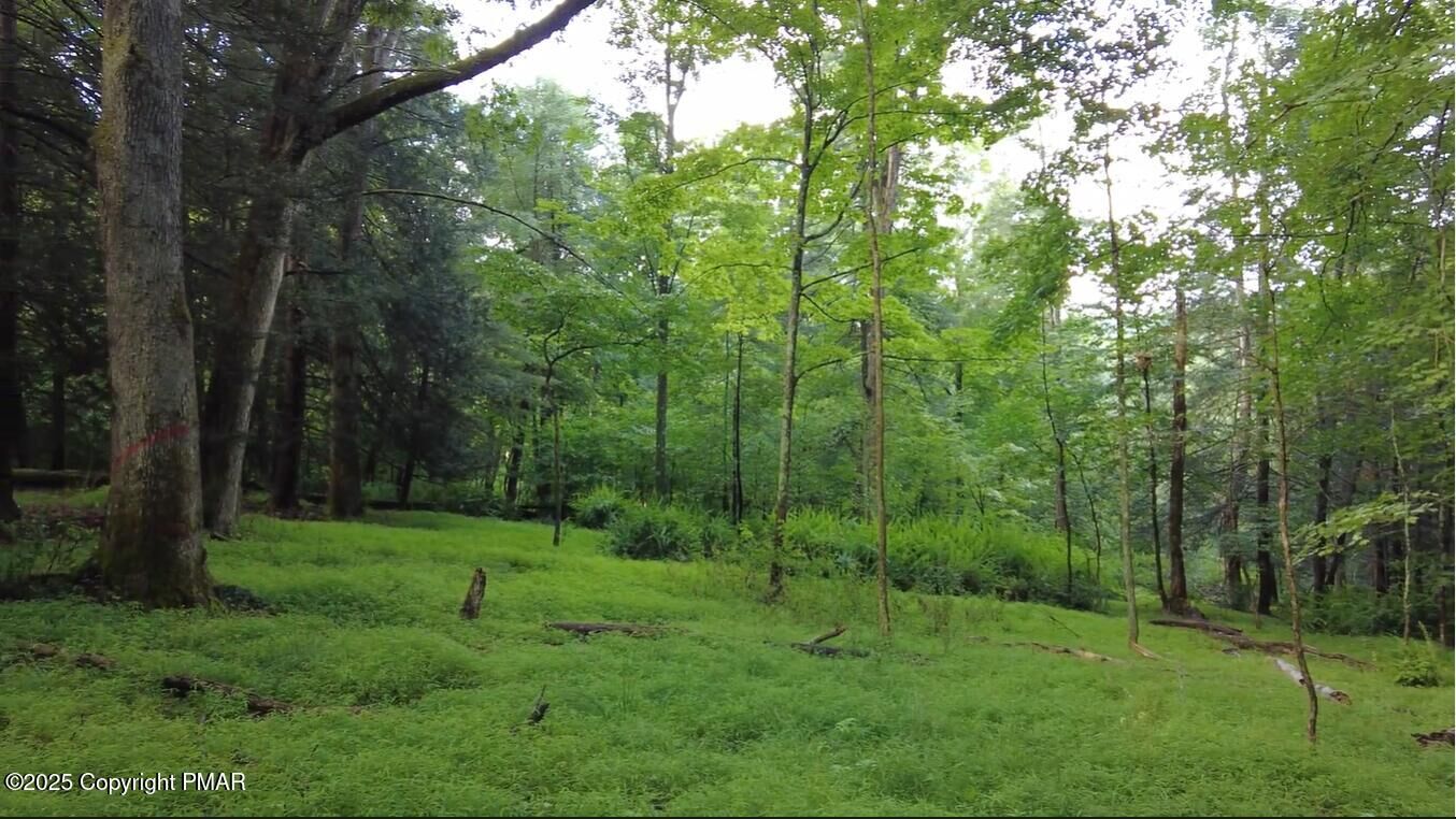 Property Photo: Swamp Rd PA 18621