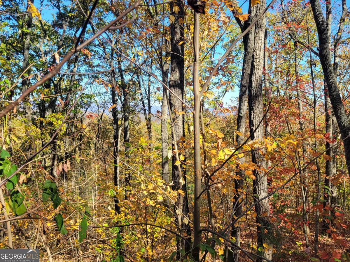 Property Photo:  8 Ac Old Burnt Mountain  GA 30540 