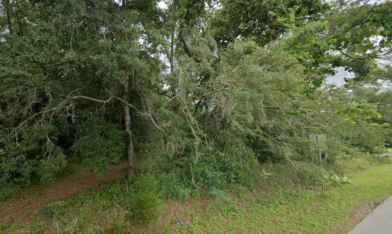 Property Photo:  0 4th Street NW  FL 34482 