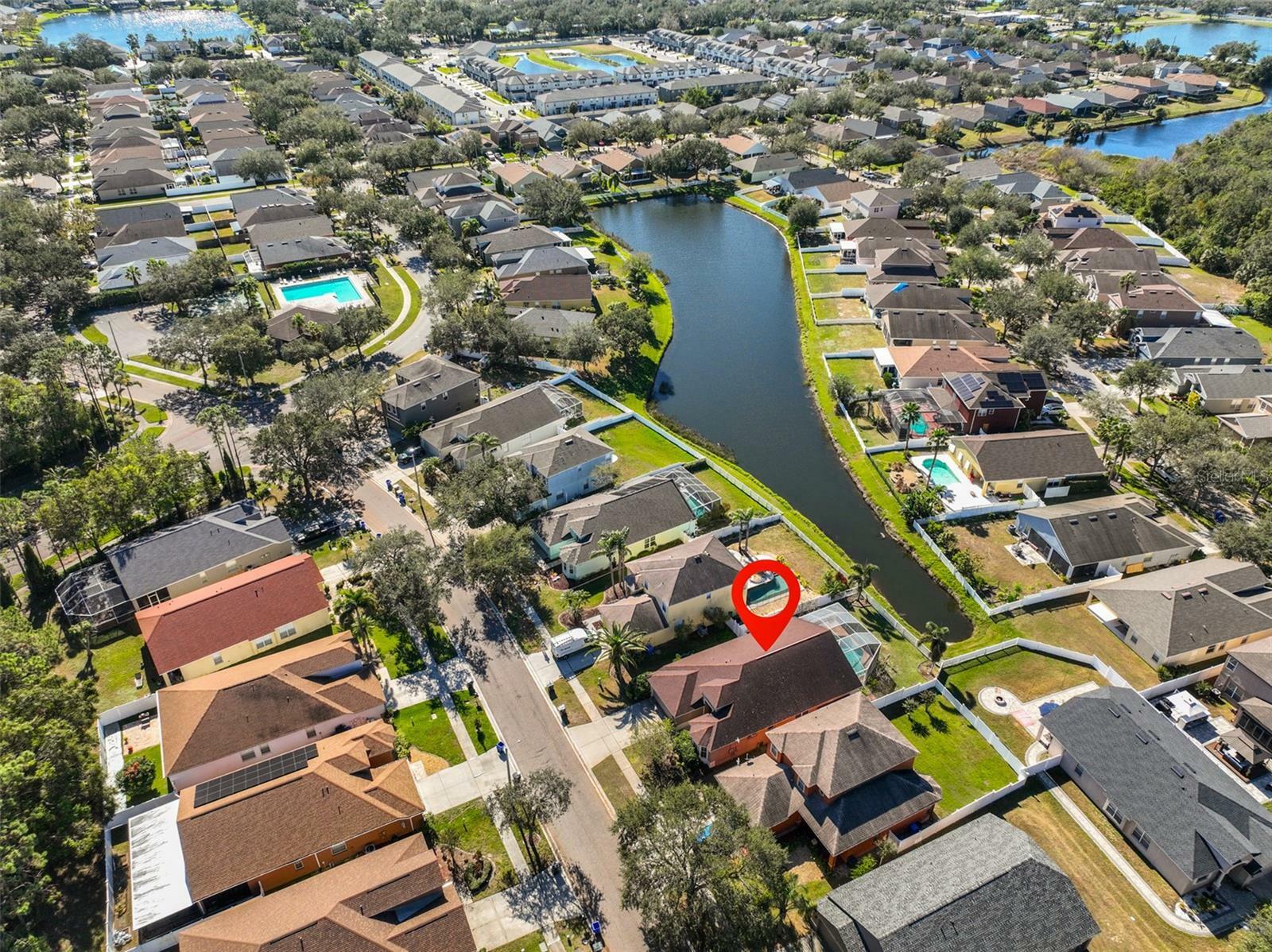 Property Photo:  8312 Moccasin Trail Drive  FL 33578 