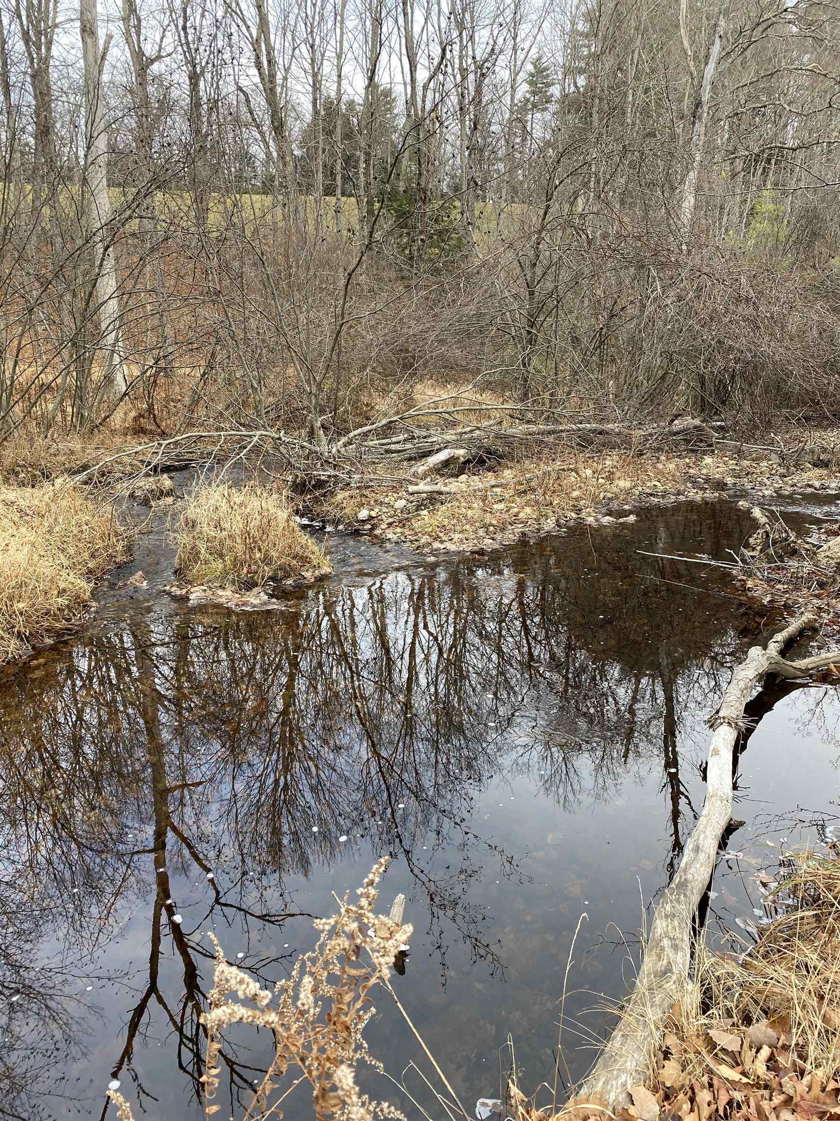 Property Photo:  0 Echo Valley Farm Road  NH 03234 