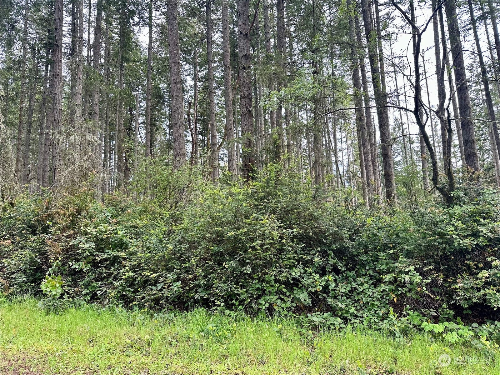 Property Photo:  12020  Yoman Road  WA 98303 