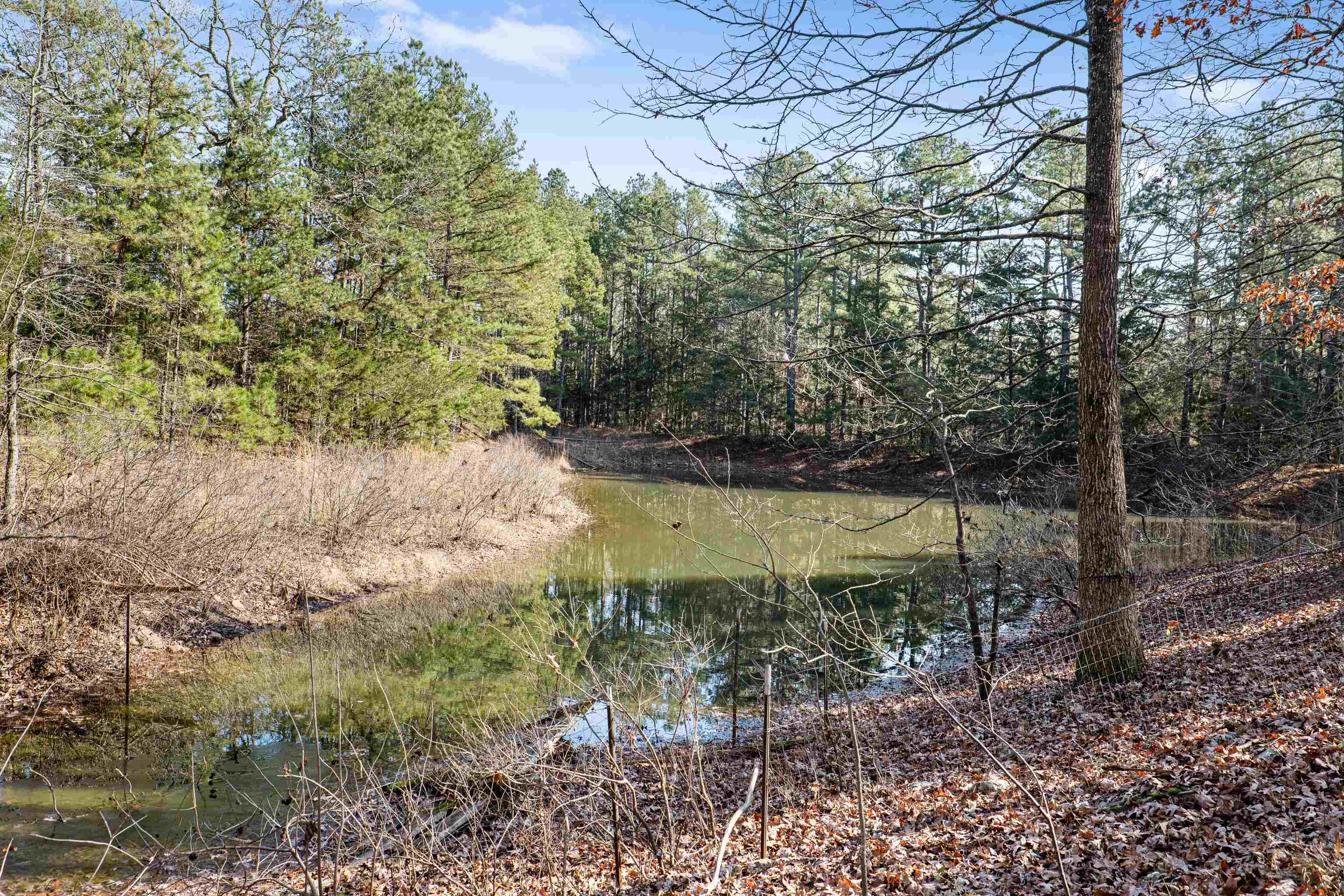 Property Photo: 300 Silver Springs AR 72532
