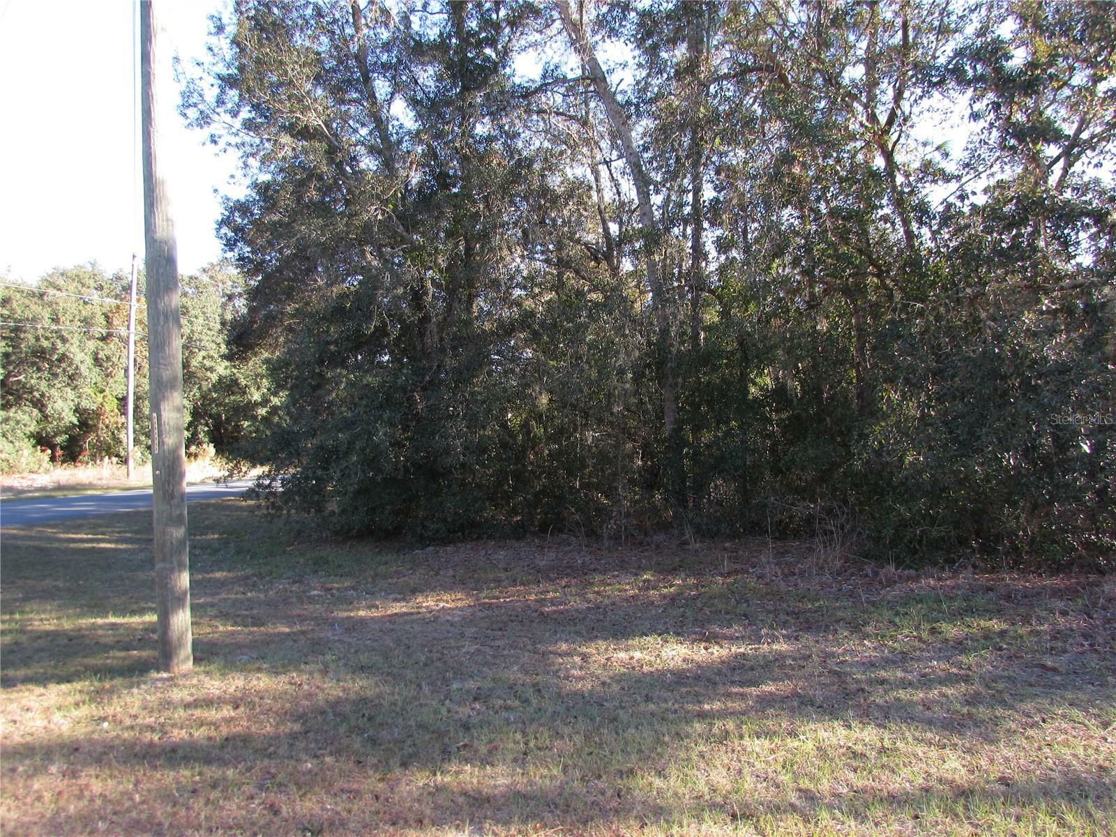 Property Photo:  60 W Navarro Place  FL 34434 