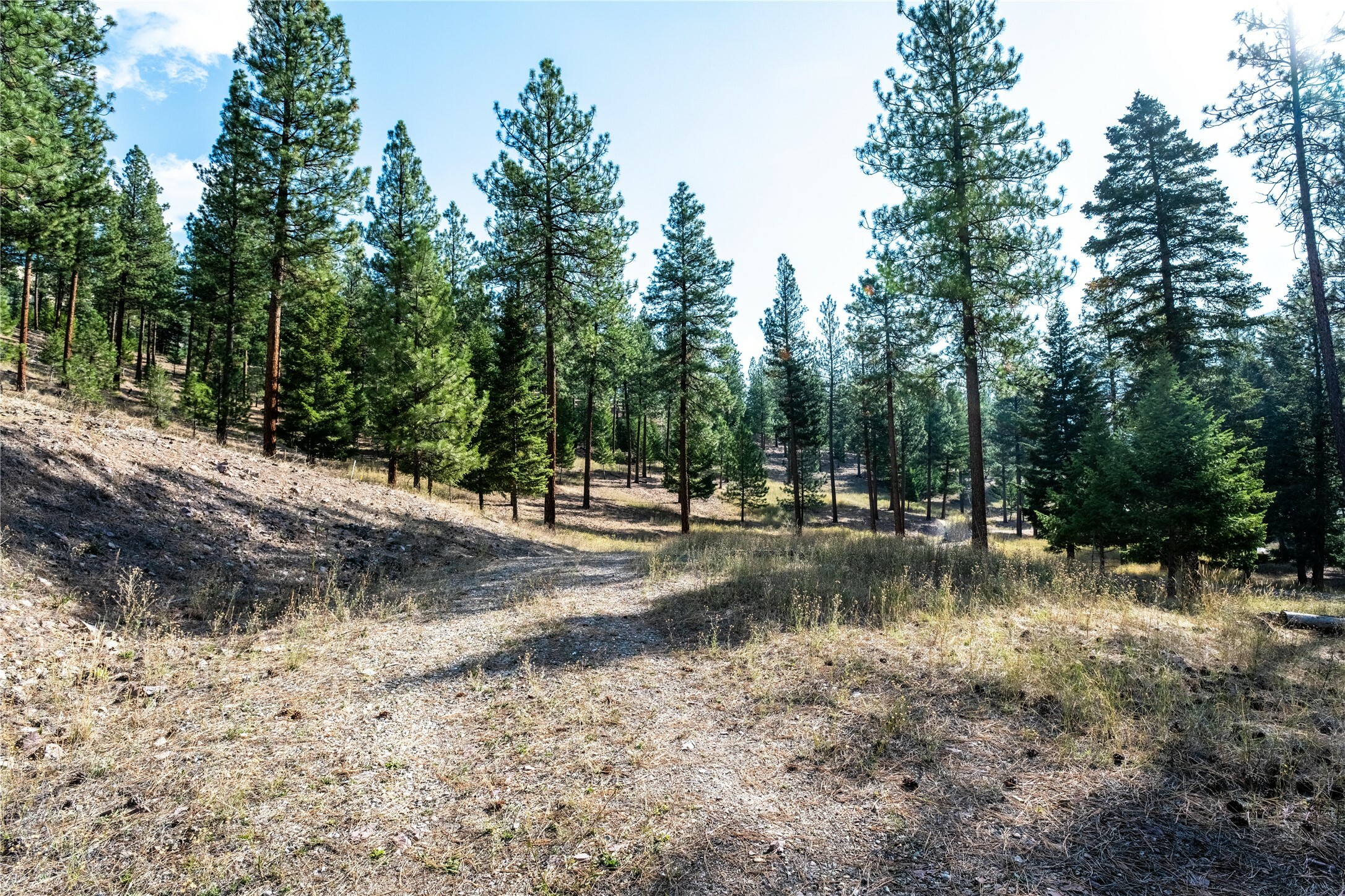 Property Photo:  Lot 14 Muddler Court  MT 59825 