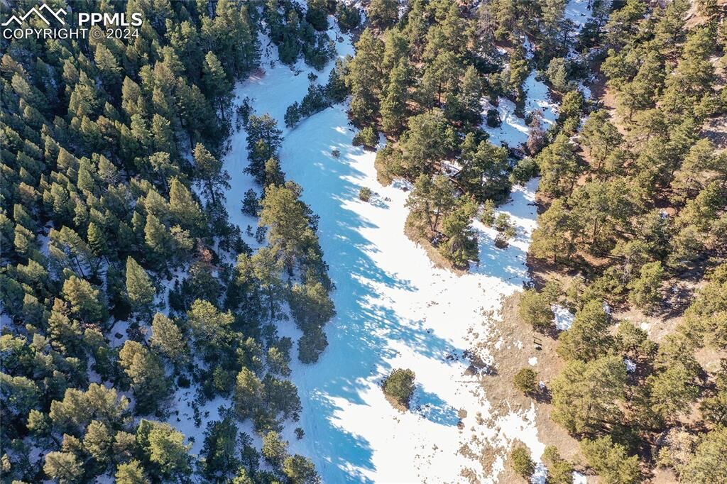 Property Photo: 16490 Mesquite Road CO 80831