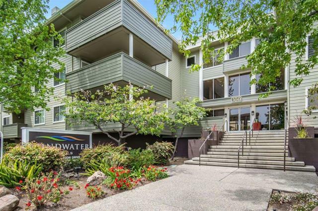 Property Photo: 300 Murchison Drive 217 CA 94030