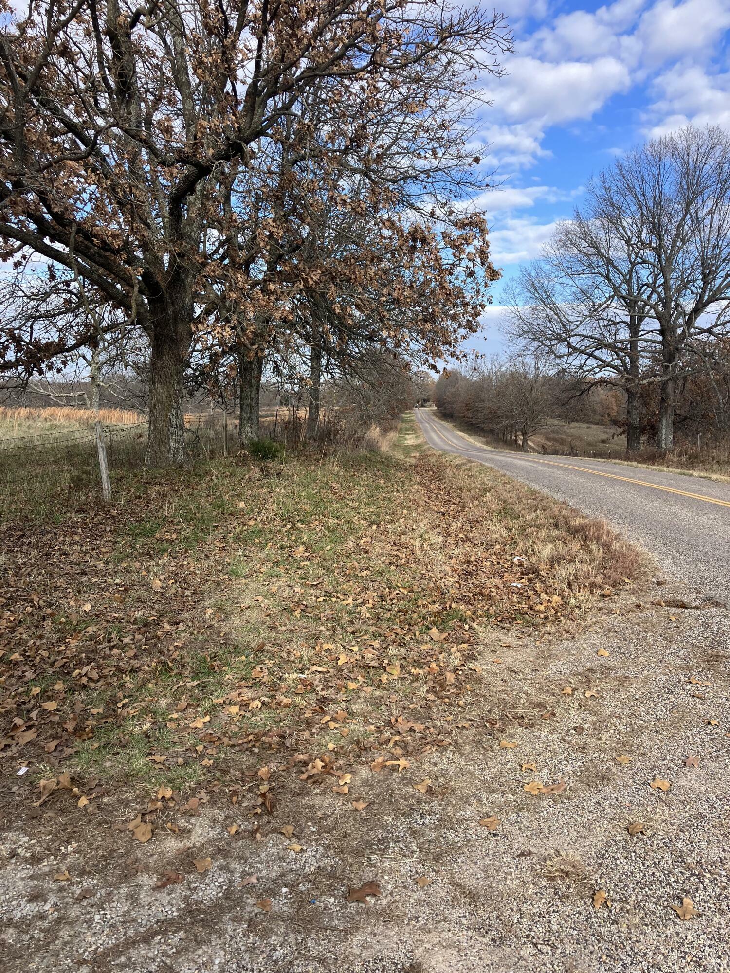 Property Photo:  12413 State Route Pp  MO 65692 