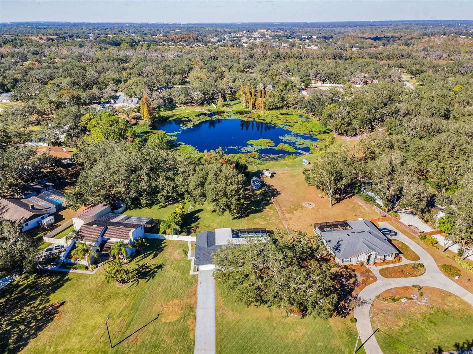 Property Photo: 11409 Donneymoor Drive FL 33569
