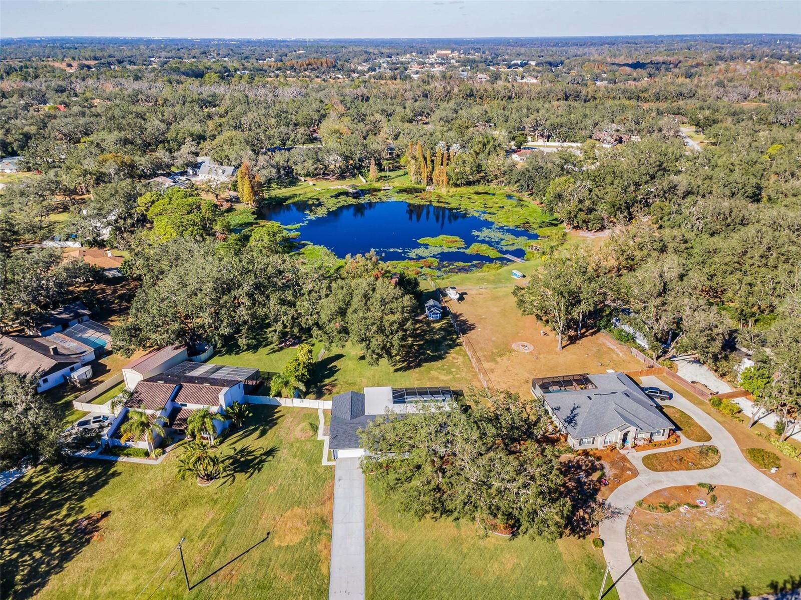 Property Photo: 11409 Donneymoor Drive FL 33569