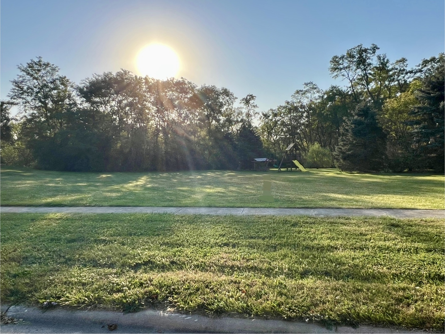 Property Photo:  21253 S Wooded Cove Drive  IL 60421 