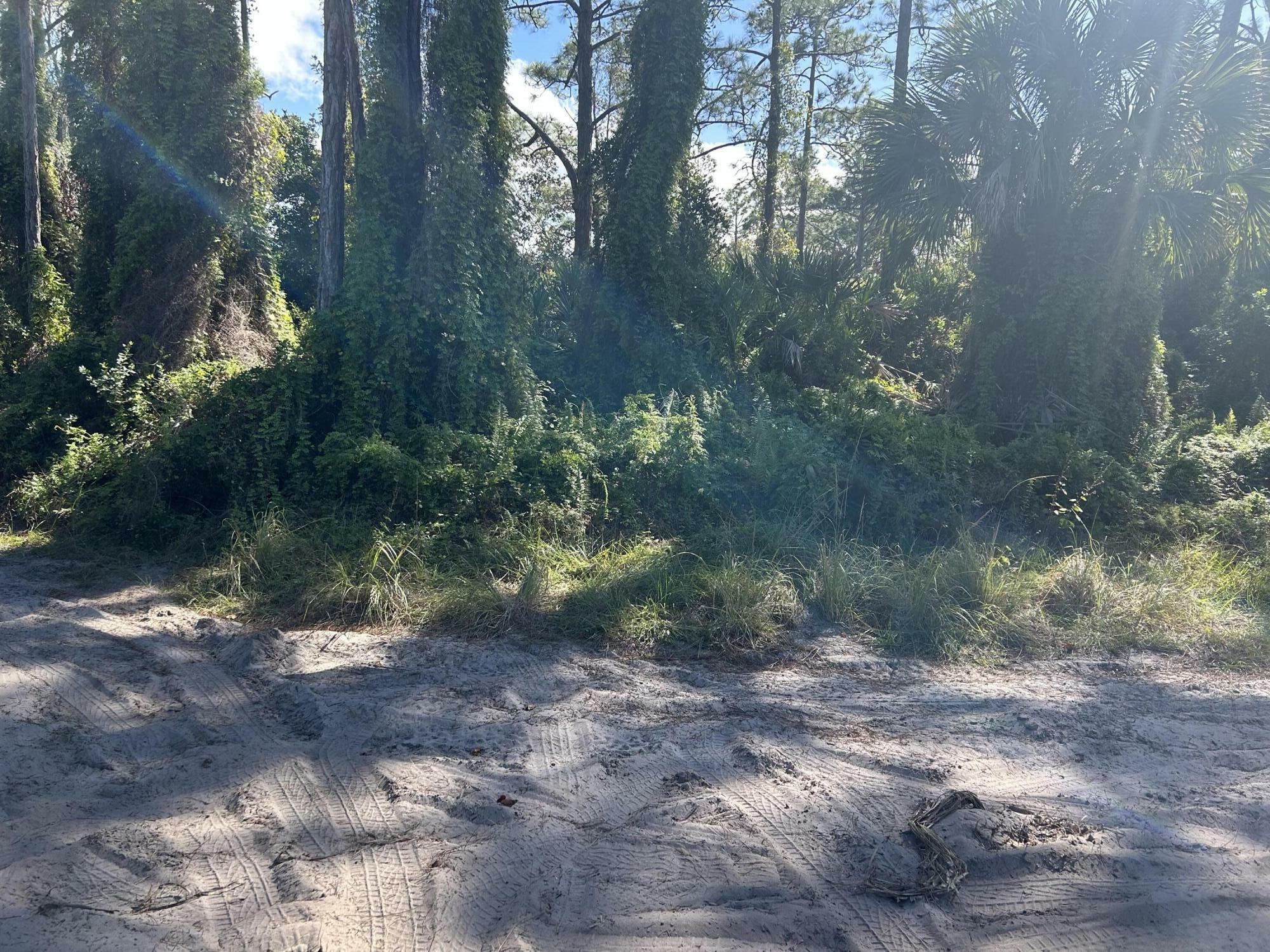 Property Photo:  0 Slash Pine Trail  FL 34945 