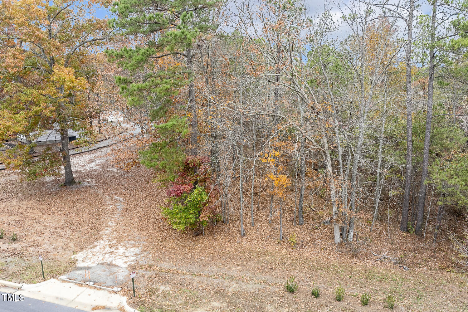 Property Photo: 0 Sneed Lane NC 27526