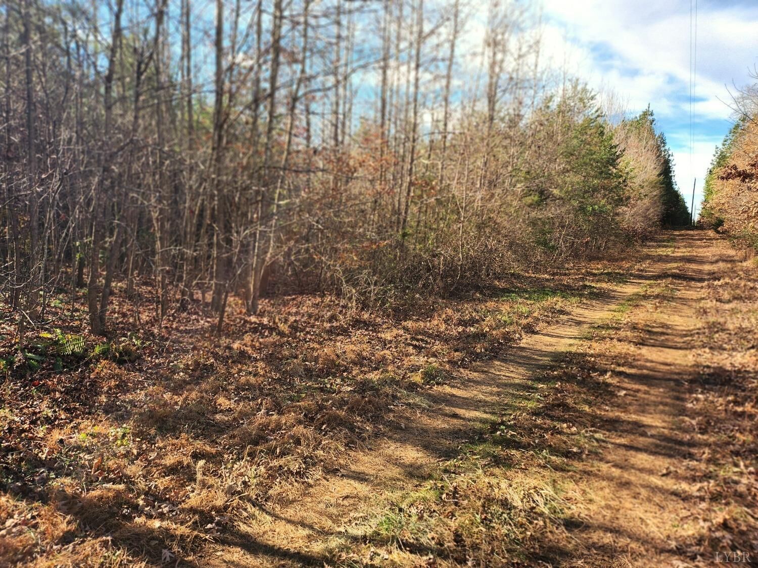Property Photo:  0 Fearstown Road  VA 23923 