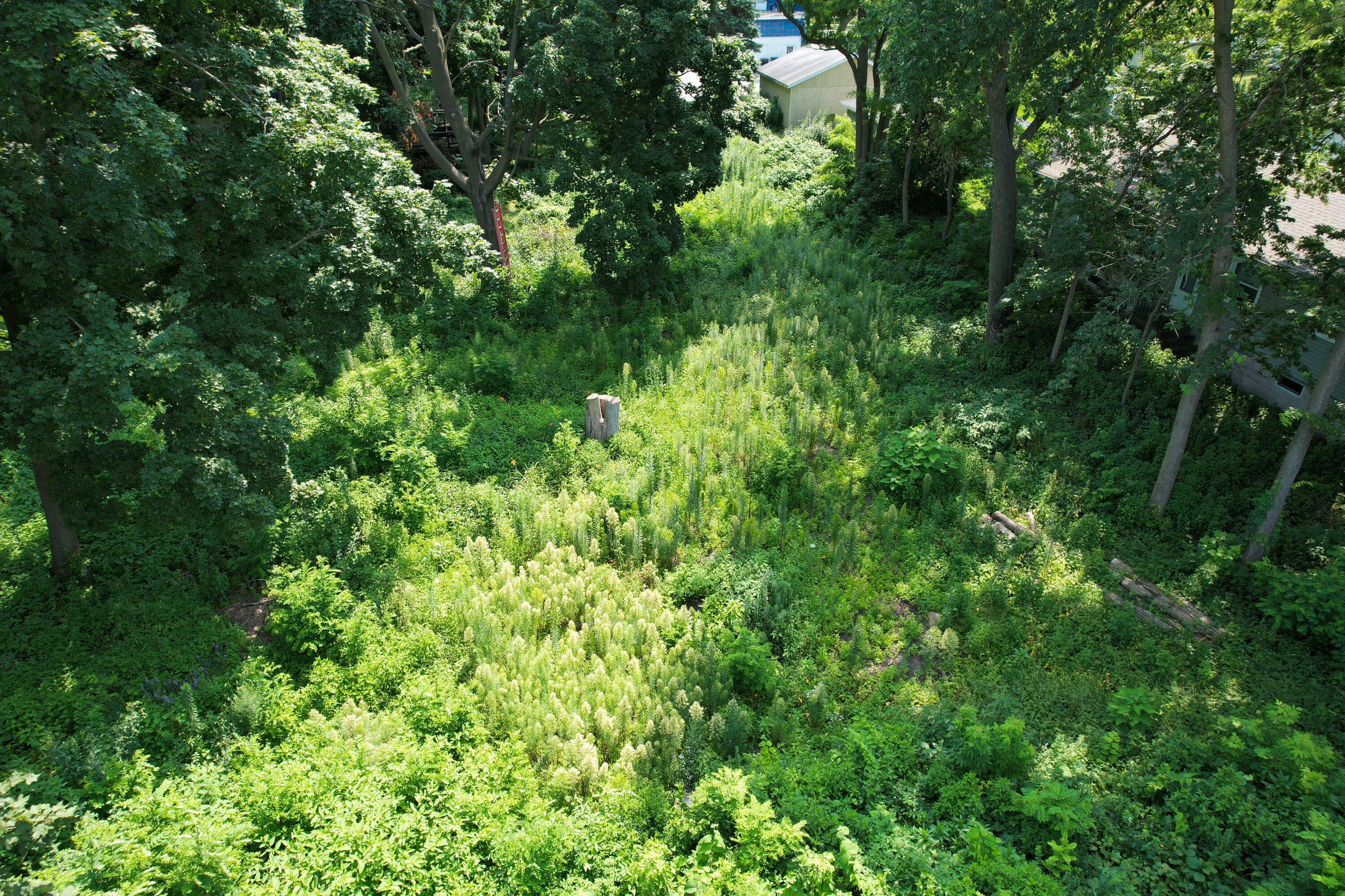 Property Photo:  3 Hartman Pl  WI 53186 