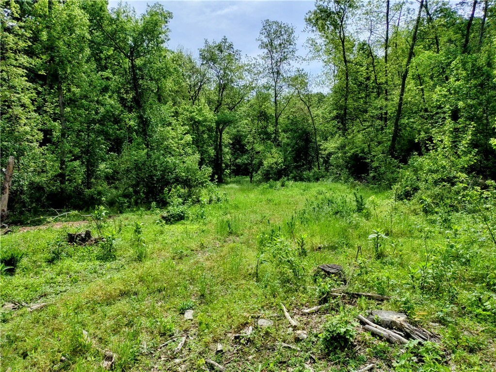 Property Photo:  6.38 Acres Shady Black Oak Way  AR 72722 