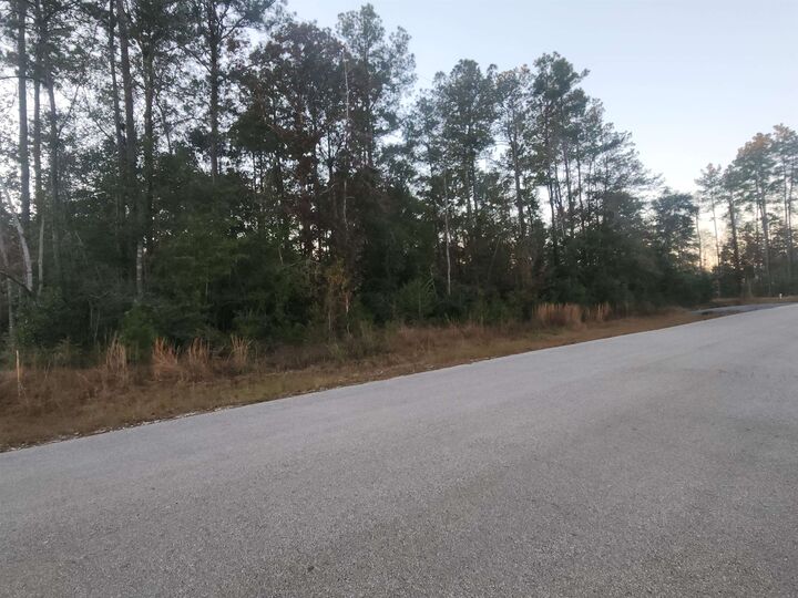 Property Photo: 10830 Rock Creek Ridge TX 77625