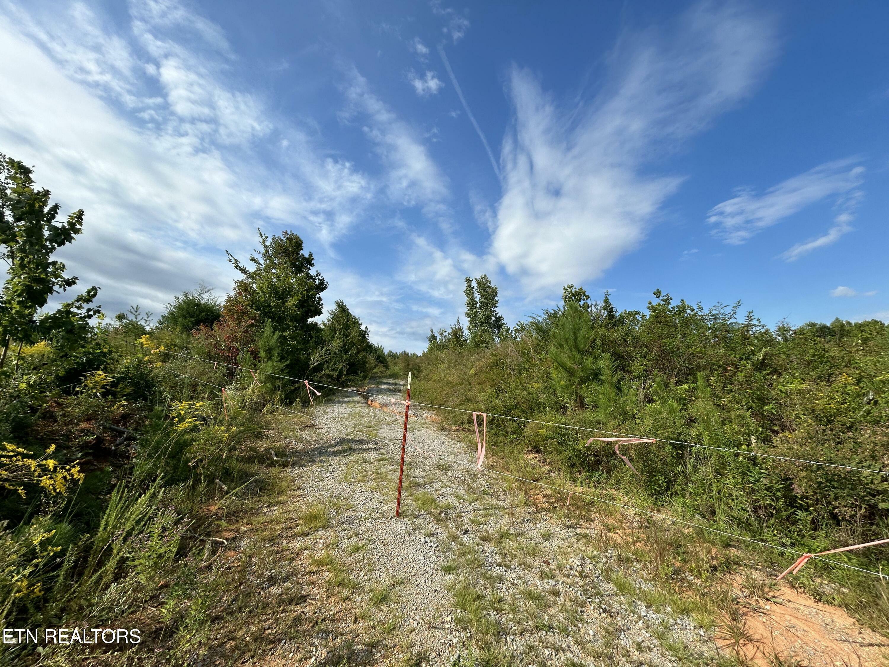 Property Photo:  Maple Grove Rd  TN 37880 