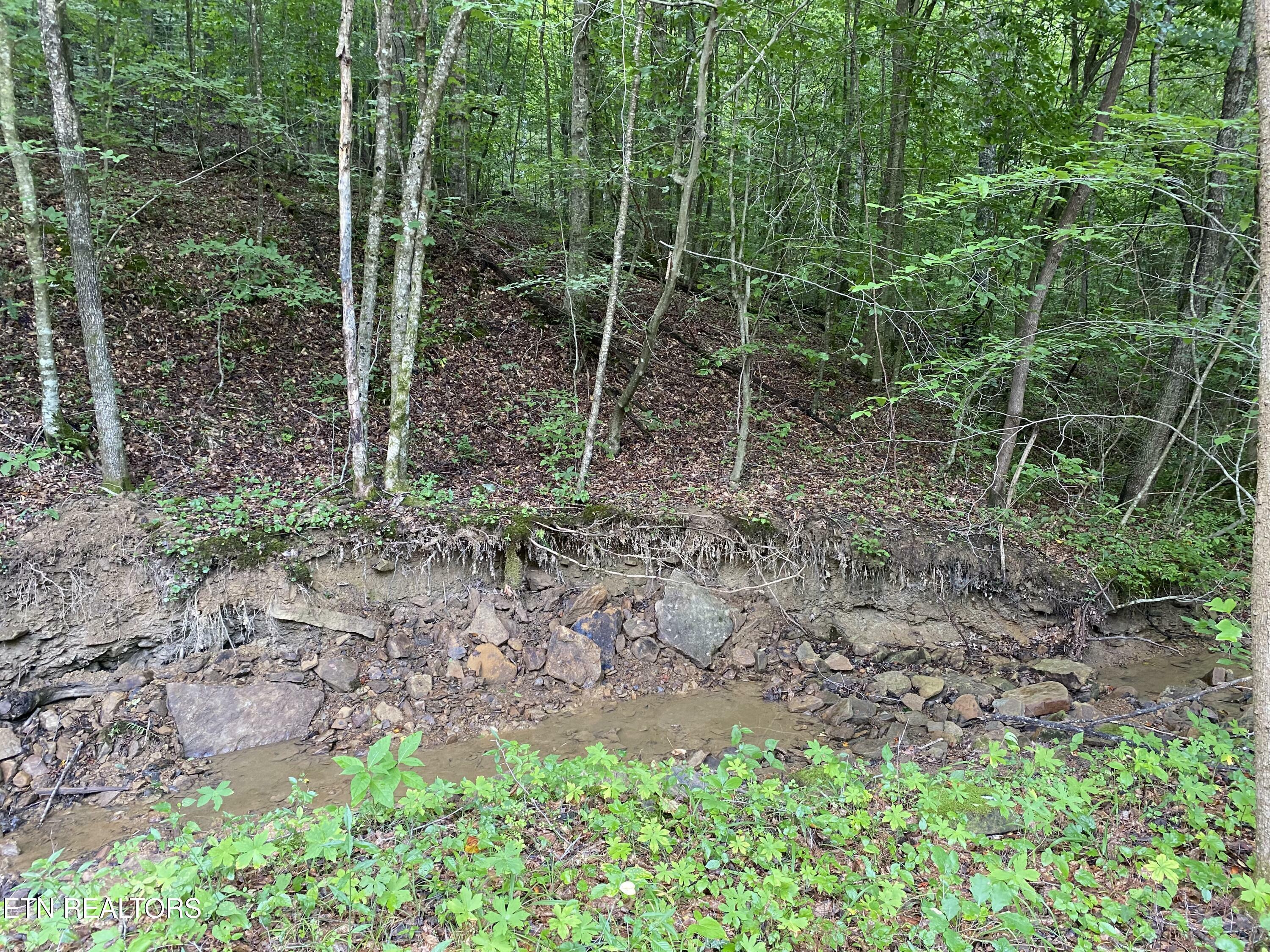 Property Photo:  15 Stanley Creek Rd  TN 37841 