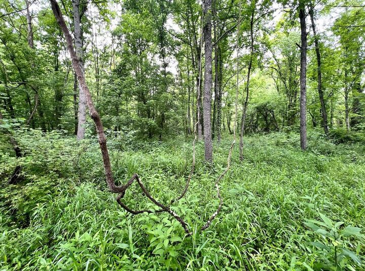 Property Photo:  22250 Kentucky 3  KY 41168 