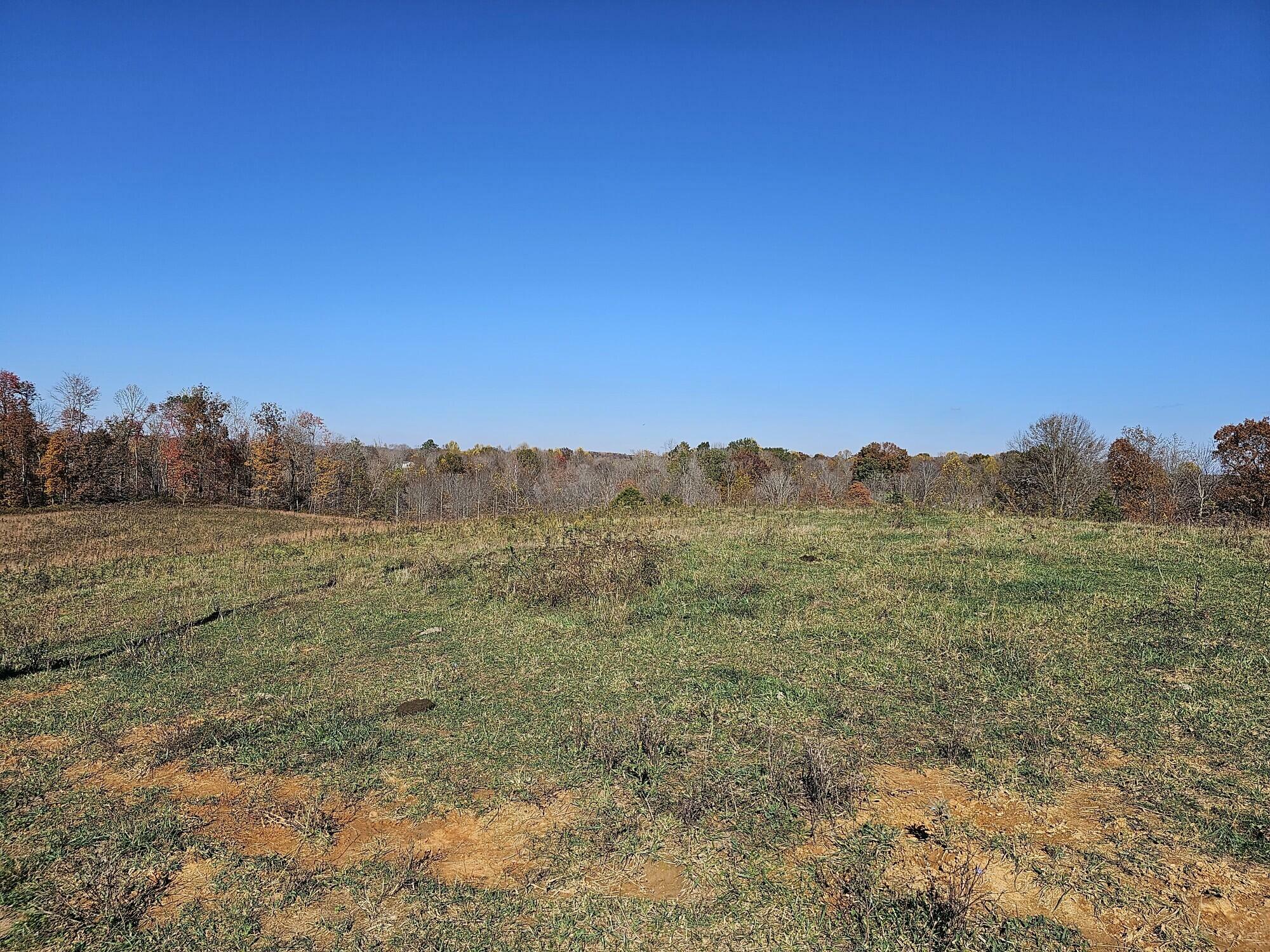 Property Photo:  1659 Chicken Gizzard Road  KY 42539 