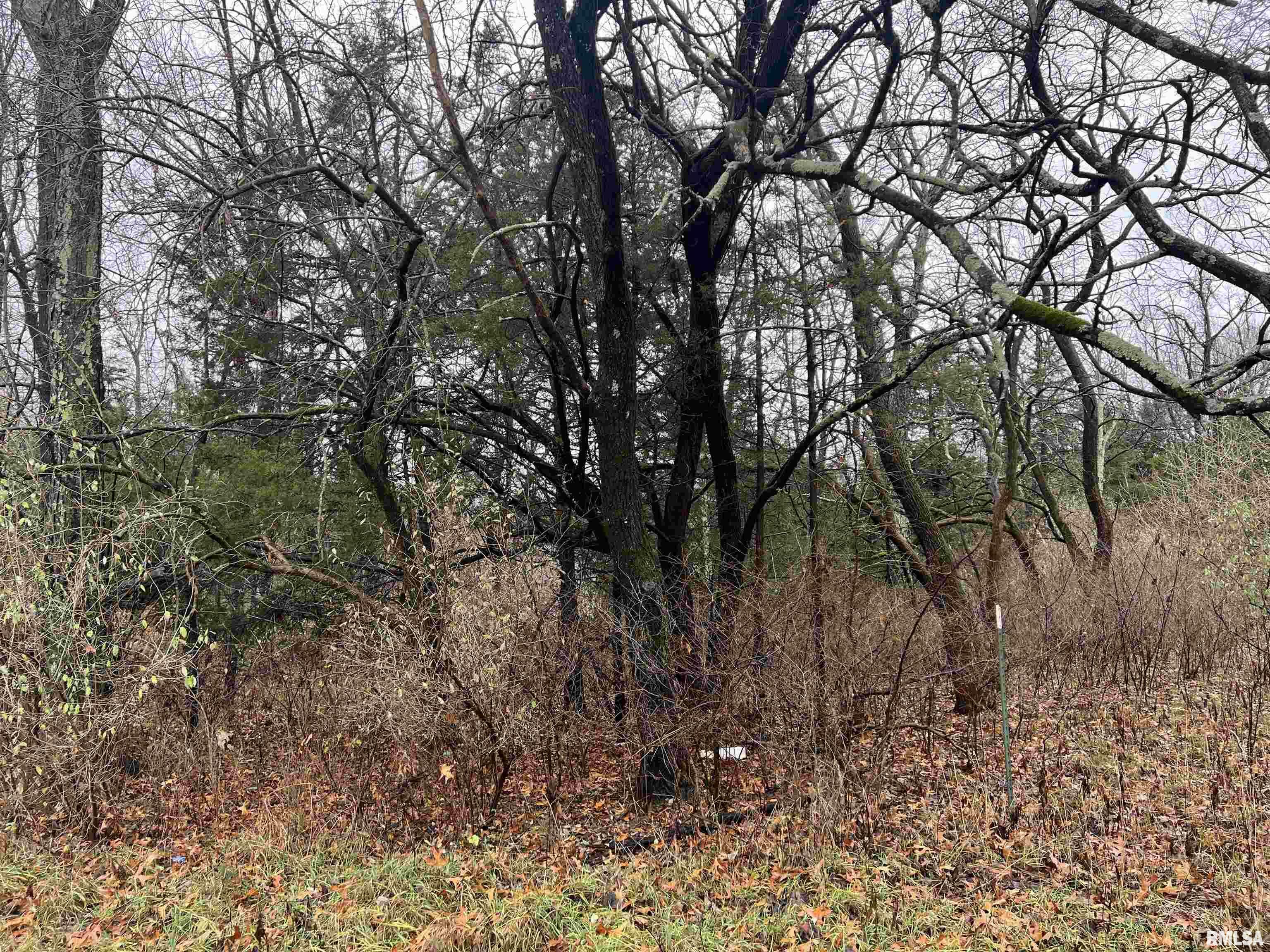 Property Photo: 2975 Eagle Point Bay Road IL 62939