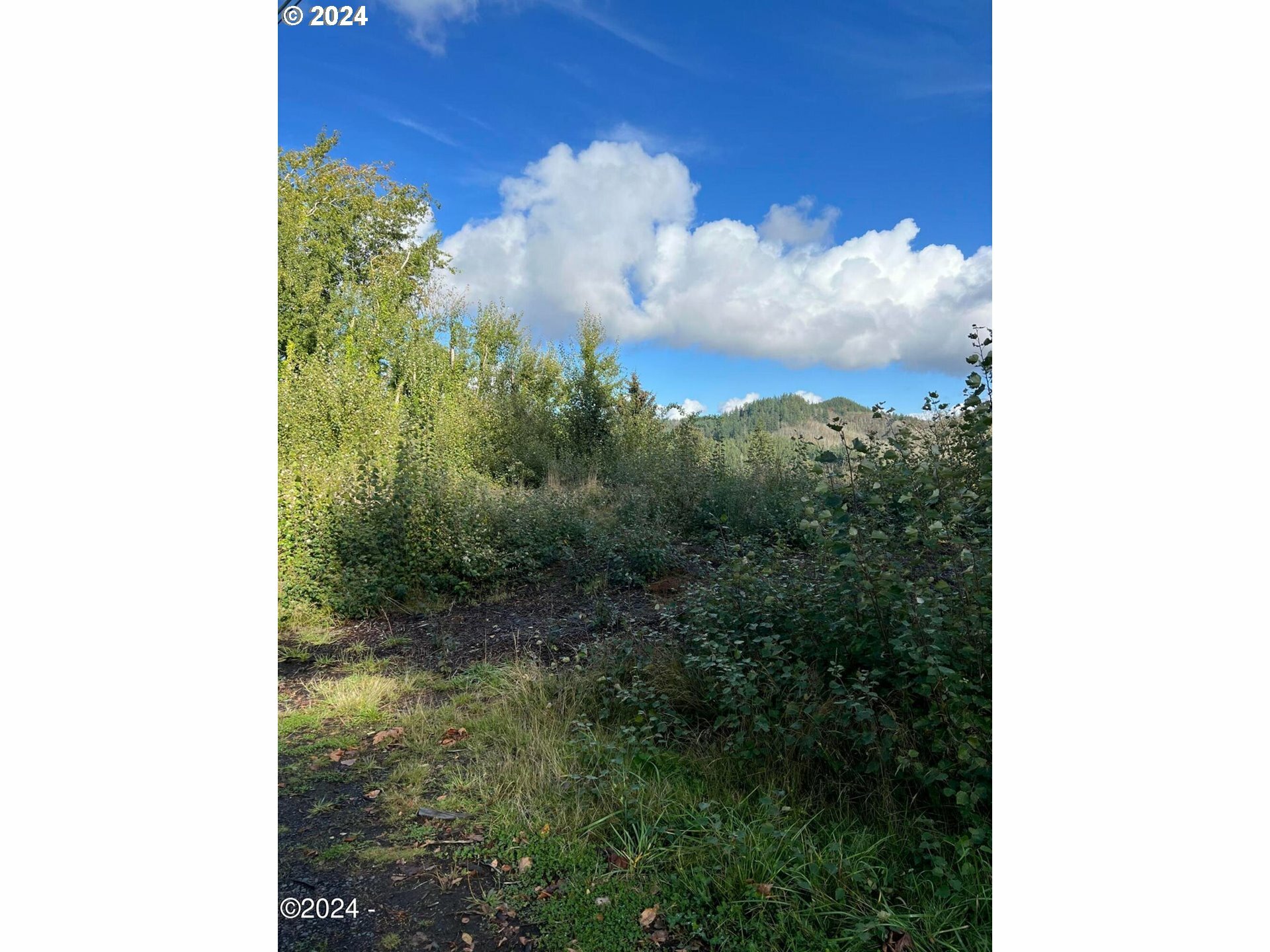 Property Photo: 936 NE Highway 20 OR 97391