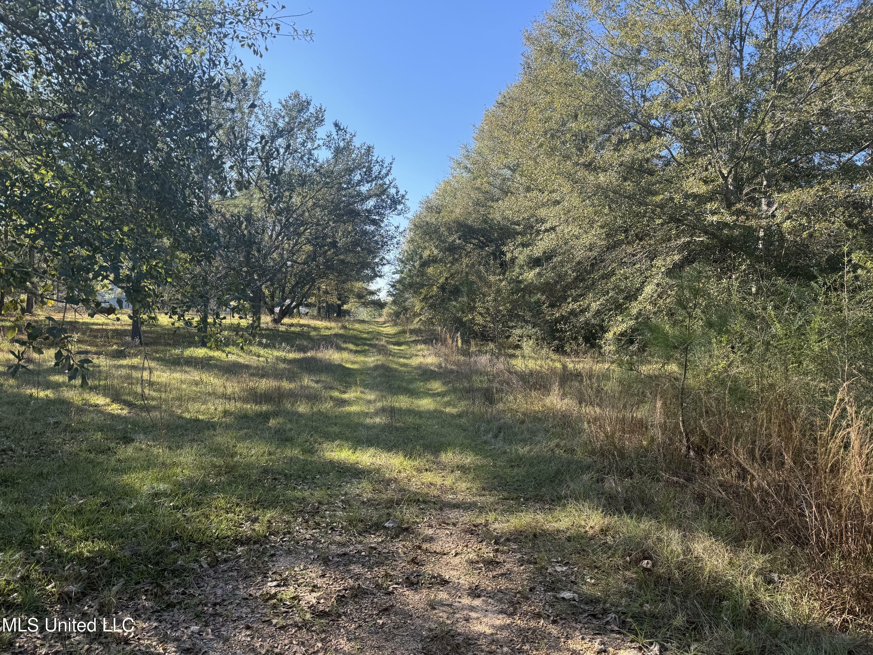 Property Photo:  Robert Dubose Road  MS 39455 