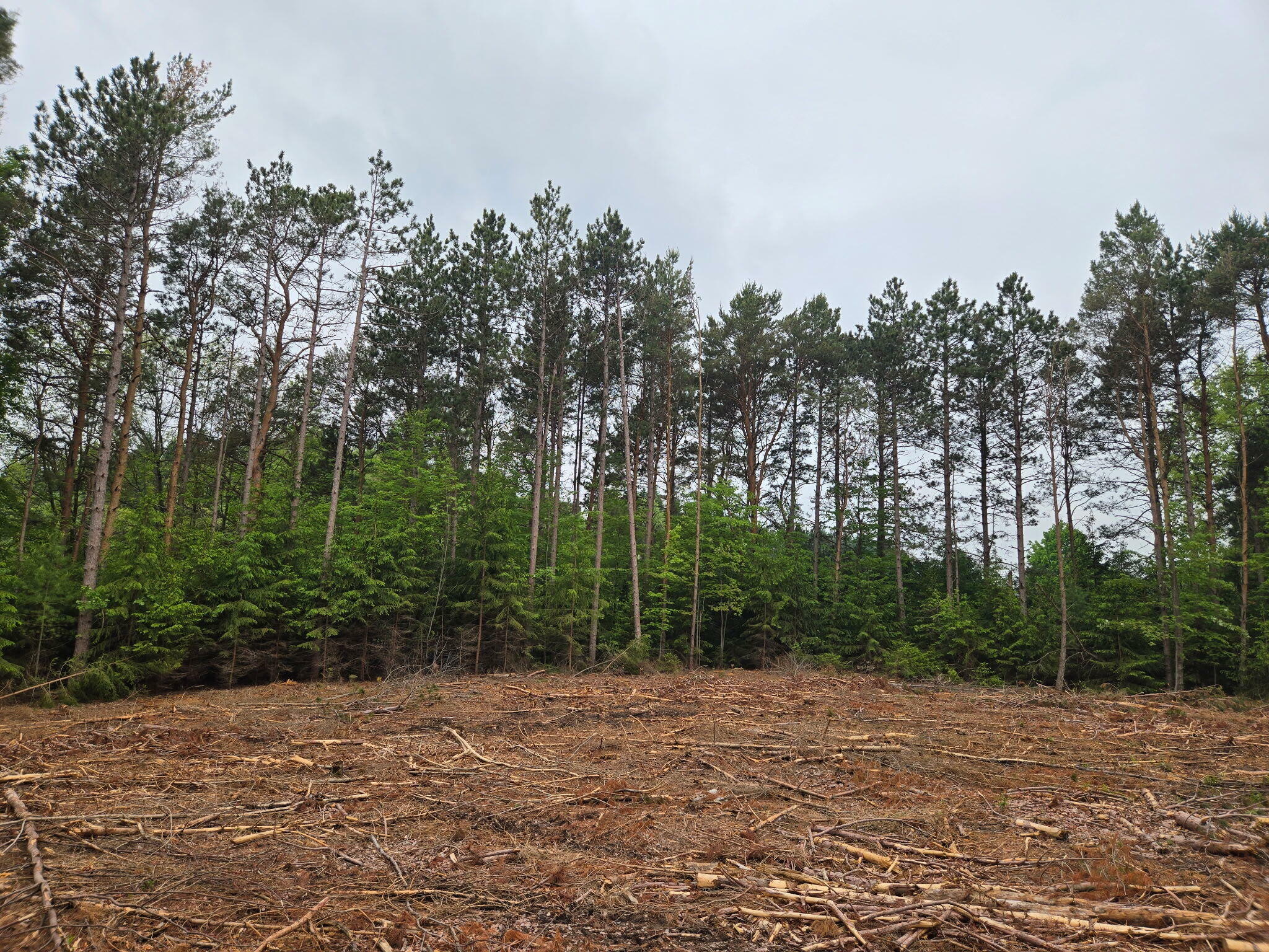 Property Photo: Parcel E 52nd Avenue MI 49436