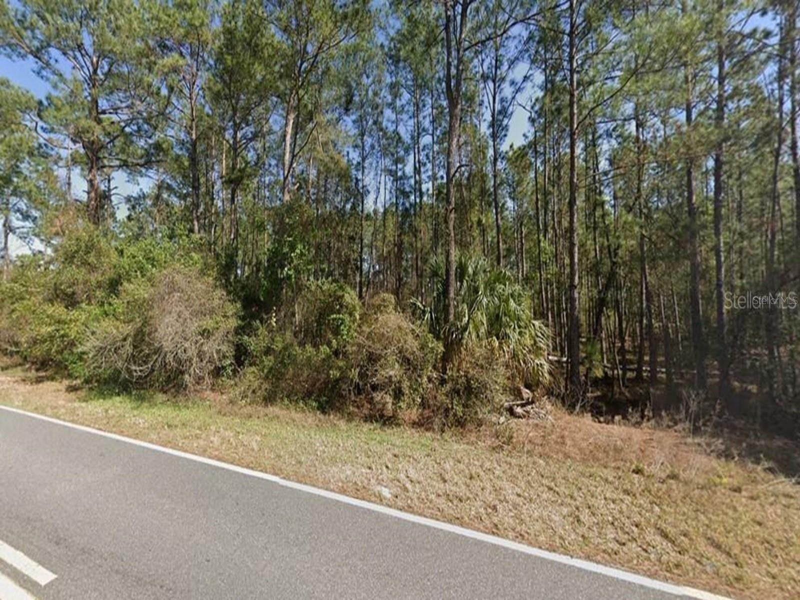 Property Photo: Royal Trails Road FL 32736