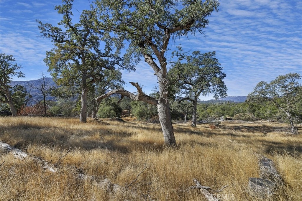 Property Photo:  0 39.29 Ac Village Drive  CA 93644 