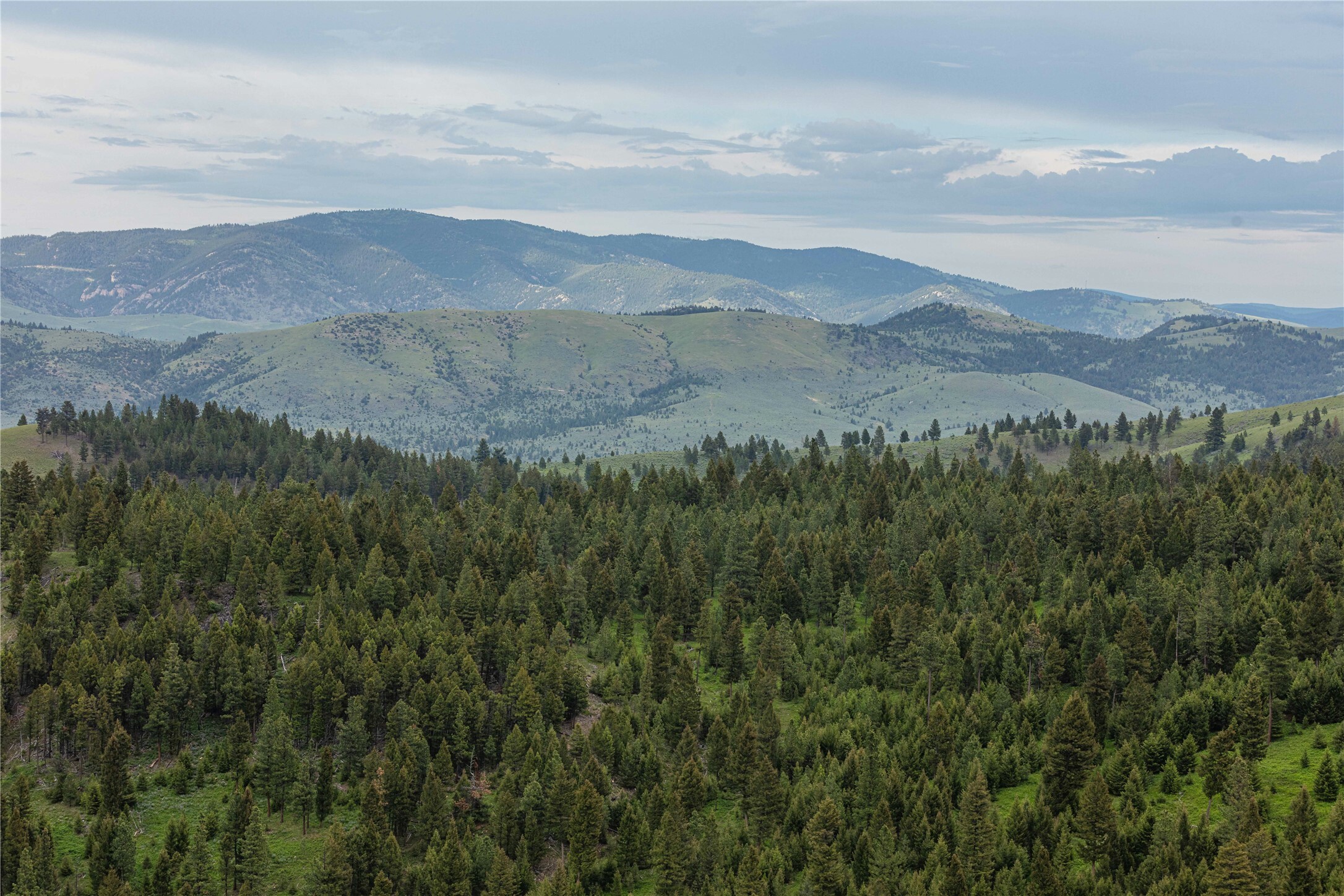 Property Photo:  2 Bull Elk Tract  MT 59832 