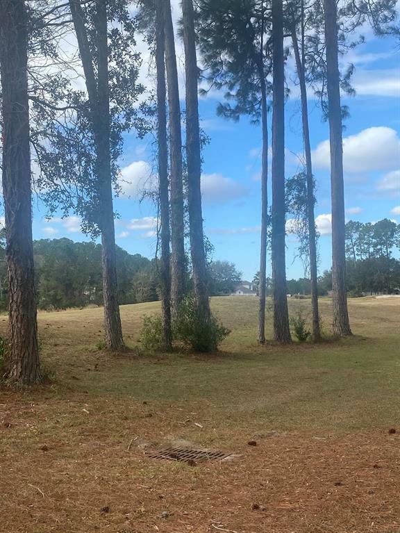 Property Photo:  85107 Napeague Drive  FL 32034 